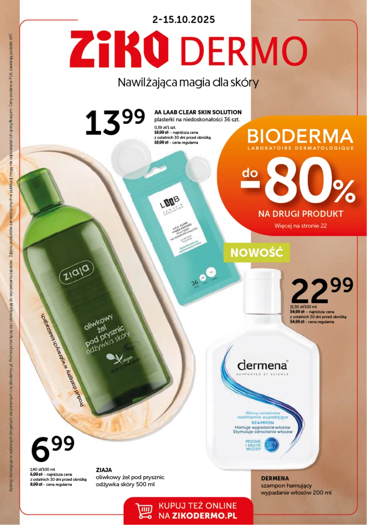 leaflet page preview image