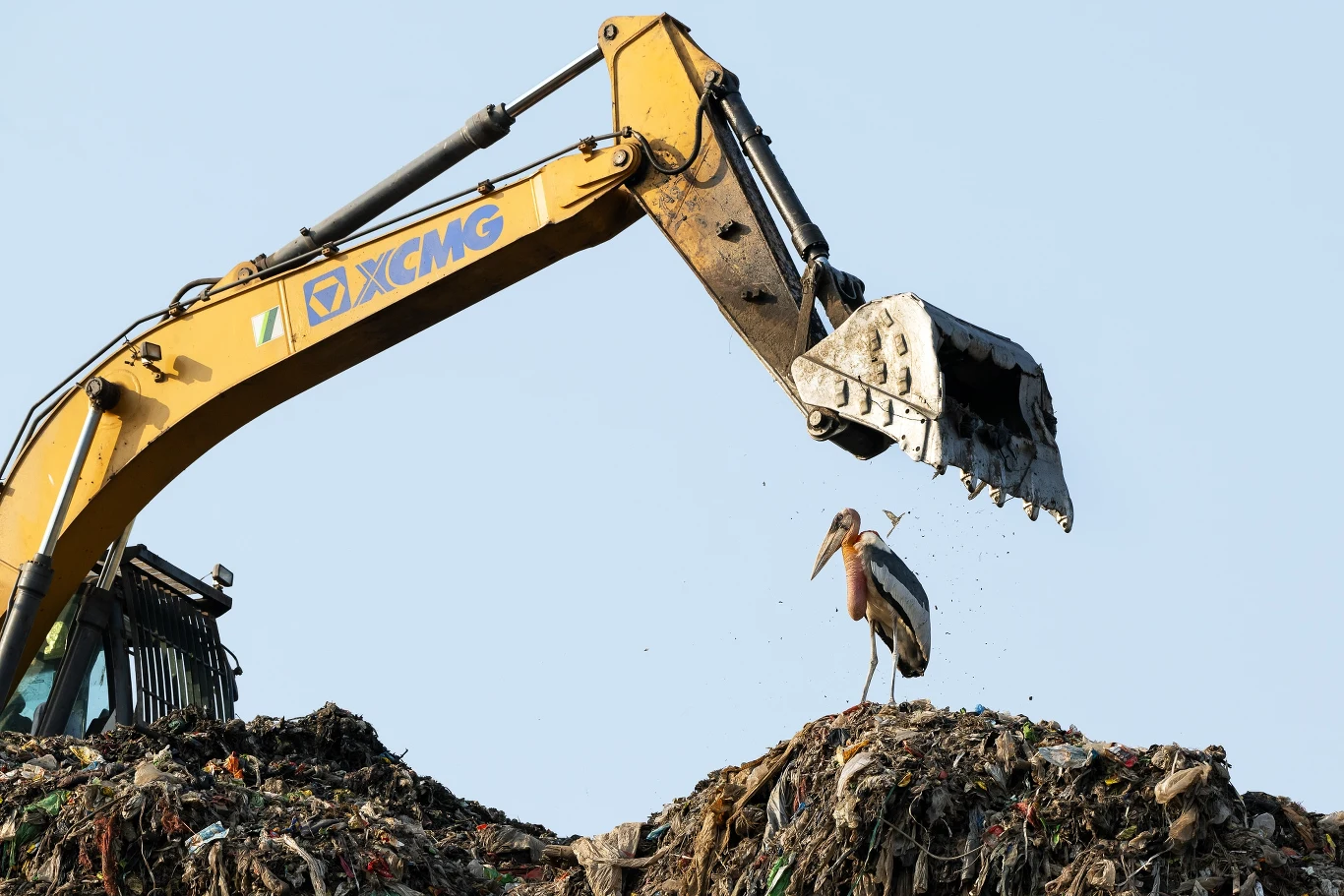 Koparka pracująca na wysypisku śmieci, obok niej stoi duży ptak brodzący wśród odpadów na szczycie hałdy, wyraźny kontrast pomiędzy maszyną a przyrodą.
