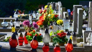 "Odstąpię" za 120 tys. zł. Na OLX kwitnie cmentarny proceder