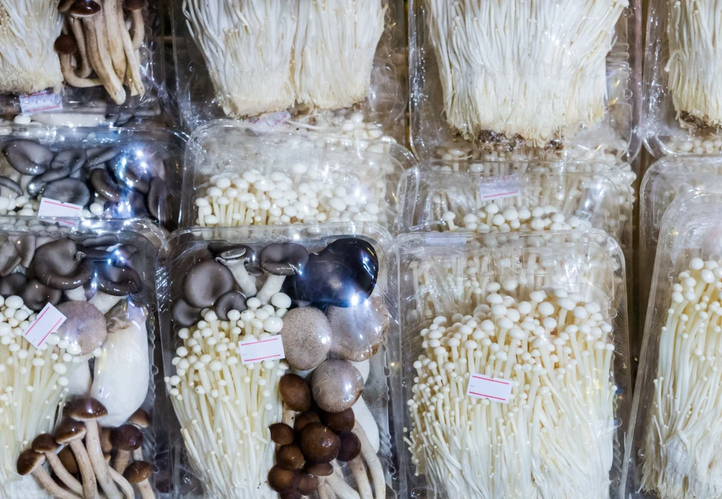 Różne rodzaje grzybów azjatyckich zapakowane w plastikowe pudełka, ustawione pionowo obok siebie, dominuje enoki oraz inne odmiany grzybów jadalnych o różnych kolorach i kształtach.