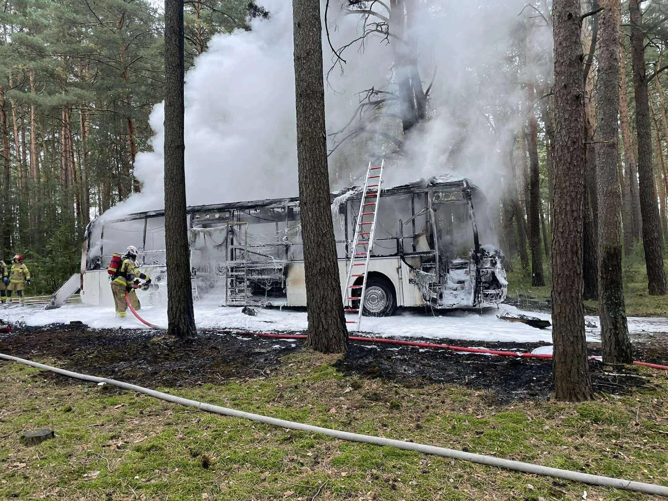 Strażacy gaszą całkowicie spalonego białego autobusu w lesie, wokół widać zadymienie i ślady pożaru, a na ziemi rozlana jest piana używana w akcji ratunkowej.