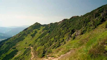 Karkonoskie Kozie Grzbiety mogą zachwycać.