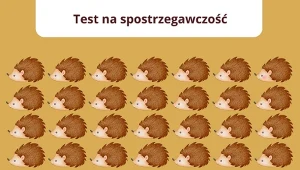Jesień pogorszyła twoją koncentrację? Tylko bystre oko dostrzeże róznicę
