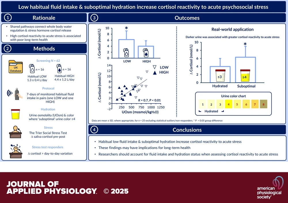 Schematyczna infografika przedstawiająca wpływ niskiego codziennego spożycia płynów i suboptymalnego nawodnienia na reakcję kortyzolu w odpowiedzi na stres psychospołeczny; badanie obejmuje opis metodyki, rezultaty w formie wykresów z poziomami kortyzo...