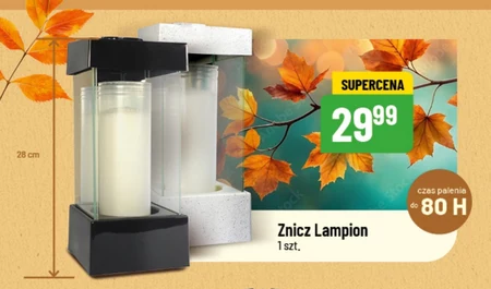 Znicz