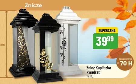 Znicz