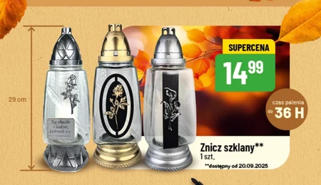 Znicz