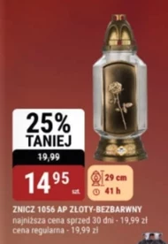 Znicz