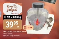 Znicz