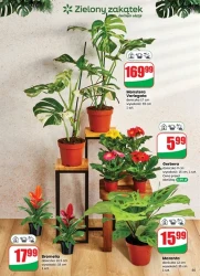 Październikowe hity cenowe – Dino