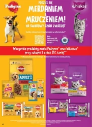 Październikowe hity cenowe – Dino