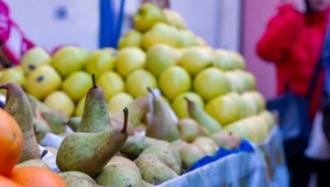 Polskie gruszki już w marketach. Ile zapłacimy za kilogram?