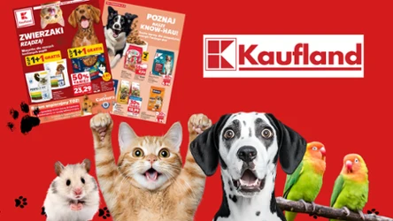 Zrób zapasy dla pupila! 1+1 gratis i -50% na karmy i przysmaki w Kauflandzie