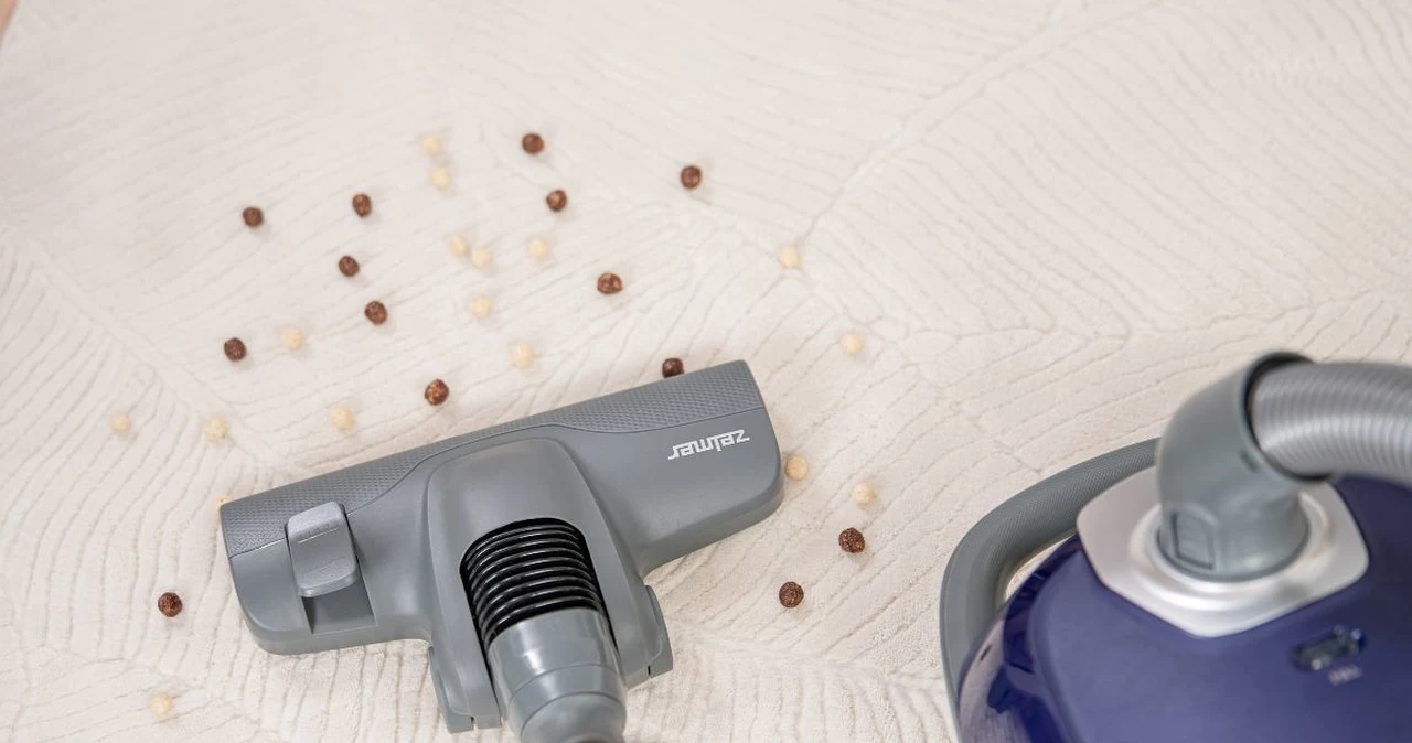 Jaki odkurzacz wybrać? Przegląd hitów od Zelmera