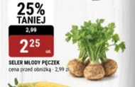 Селера