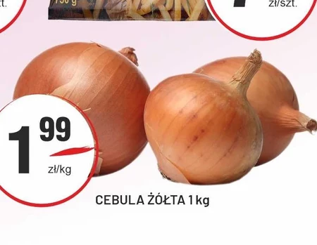 Cebula