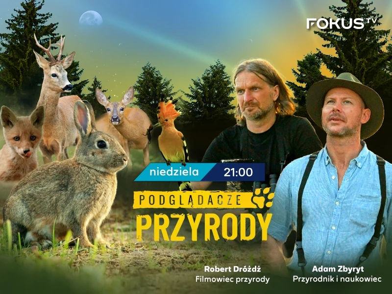 Praca filmowca przyrody to fascynujące, ale też trudne i wymagające zajęcie, które łączy pasję do natury z umiejętnościami technicznymi i cierpliwością