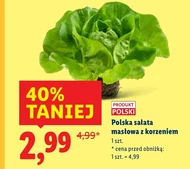 Масляний салат