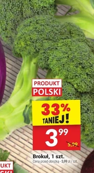 Brokuł