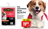 Mata grzejna samochodowa Dog the King