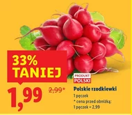 Редиска