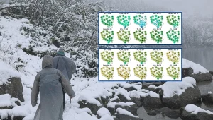 Sporo zmian pogody w krótkim czasie. Kolejne noce na minusie