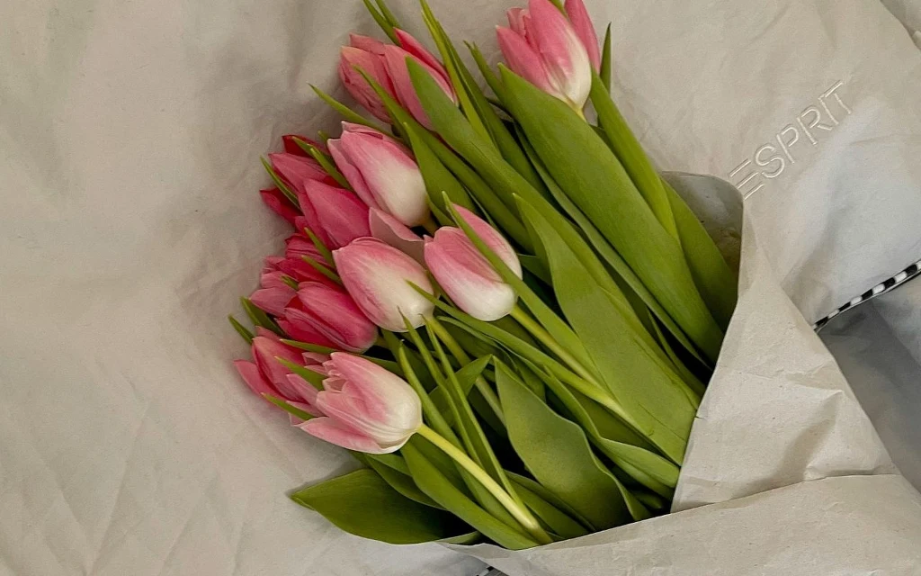 Cięte kwiaty mogą sprzyjać pozytywnym wibracjom, jednak nie powinny stać w tym pokoju Bukiet różowych i białych tulipanów owinięty w szary papier, umieszczony na jasnym tle.