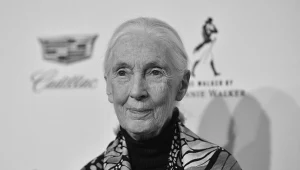 Zmarła słynna badaczka szympansów dr Jane Goodall