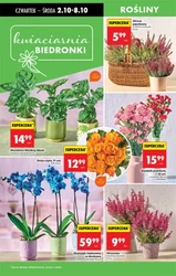Oszczędzaj przy każdym koszyku - Biedronka
