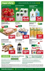 Azja od kuchni i hity tygodnia - Stokrotka Supermarket