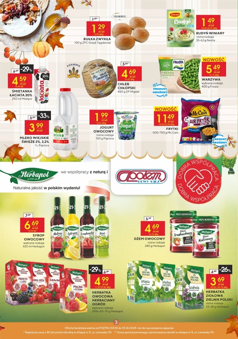 leaflet page preview image