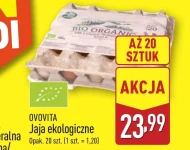 Jaja Ovovita