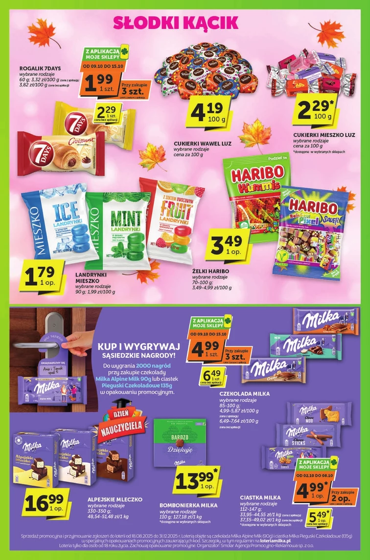 leaflet page preview image