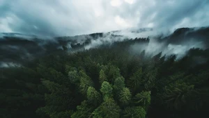 Będą zrzucać specjalny środek. Ostrzeżenie dla mieszkańców