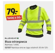 Bluza Bluewear