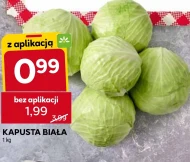 Білокачанна капуста