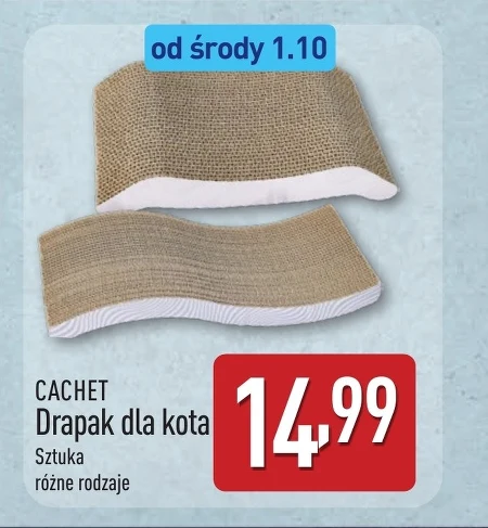 Drapak dla kota Cachet