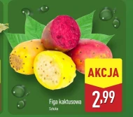 Рис