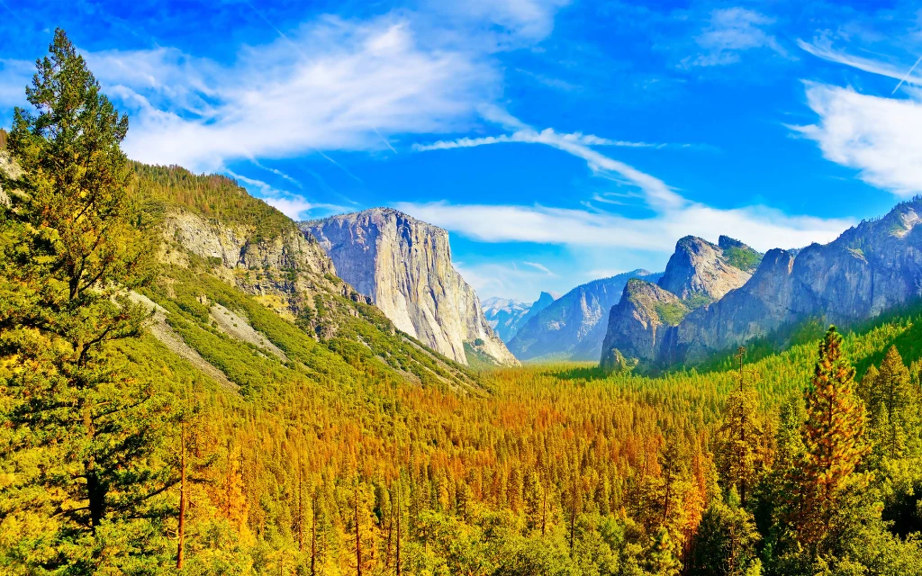Tunnel View