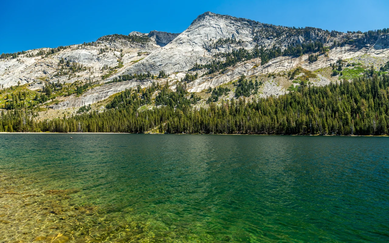 Tenaya Lake