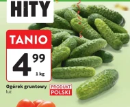 Огірок Polski