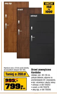 Drzwi zewnętrzne Orzech
