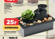 Фонтан Netto