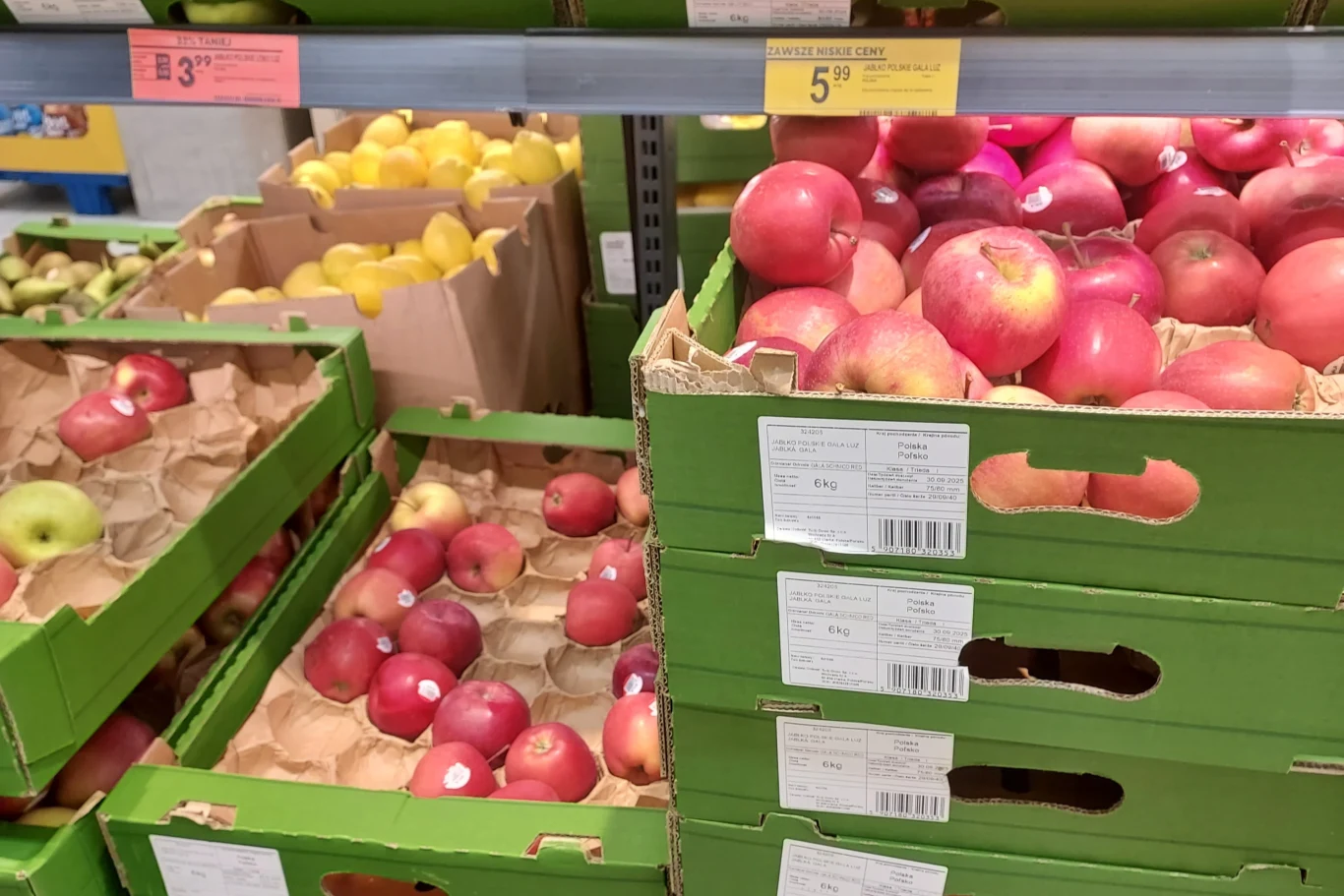 W Biedronce jabłka Lobo można było kupić za 3,99 zł/1 kg. Zielone skrzynki z czerwonymi jabłkami oraz cytrynami ustawione na sklepowej półce w dziale owoców, widoczne etykiety z cenami oraz kartonowe przekładki oddzielające owoce.
