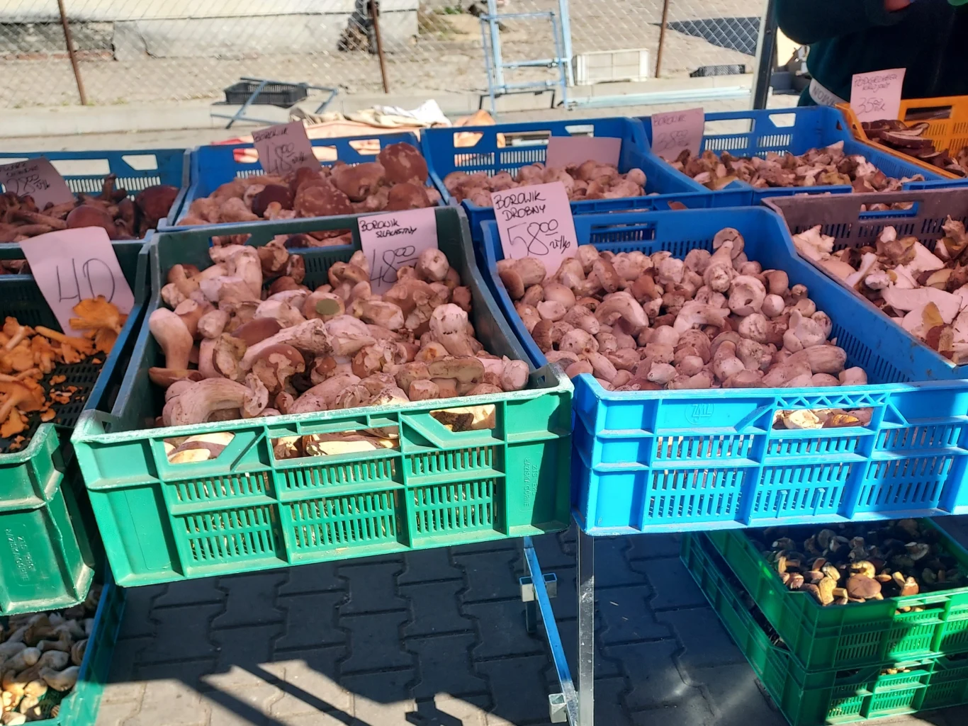Na bazarze można było kupić też grzyby. Kolorowe skrzynki wypełnione różnymi gatunkami świeżych grzybów leśnych ustawione na straganie na zewnątrz, widoczne kartki z nazwami i cenami grzybów.