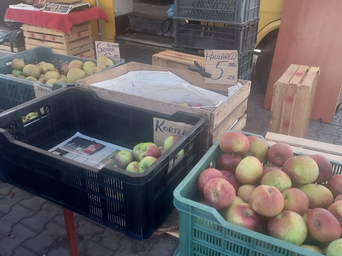 Jabłka Paulared kosztowały na bazarze 5 zł. Skrzynki z różnymi odmianami jabłek ustawione na targu, na skrzynkach znajdują się kartoniki z ręcznie napisanymi nazwami odmian jabłek oraz cenami, obok skrzynek drewniane skrzynki i fragment auta dostawczego w tle.