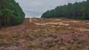 To najlepsze miejsce na jesienną wycieczkę. Ma bajkowy klimat, a tłumów brak