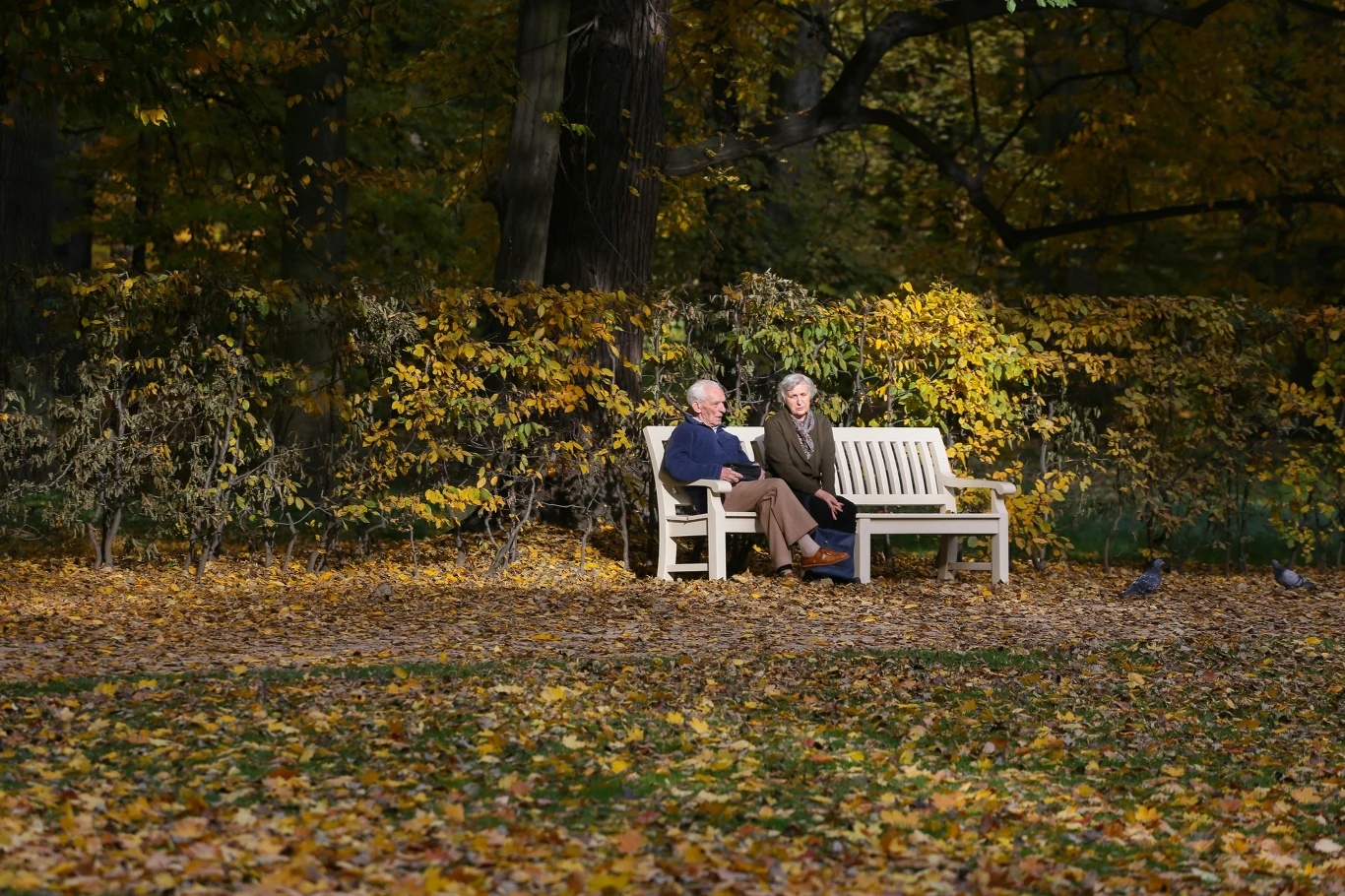 Starość w wielkim mieście. Bohaterskie postaci kroczą naszymi ulicami Starsza para siedzi na białej ławce w otoczeniu złotych, jesiennych liści, drzewa i zarośla tworzą spokojne, pełne ciepła tło.