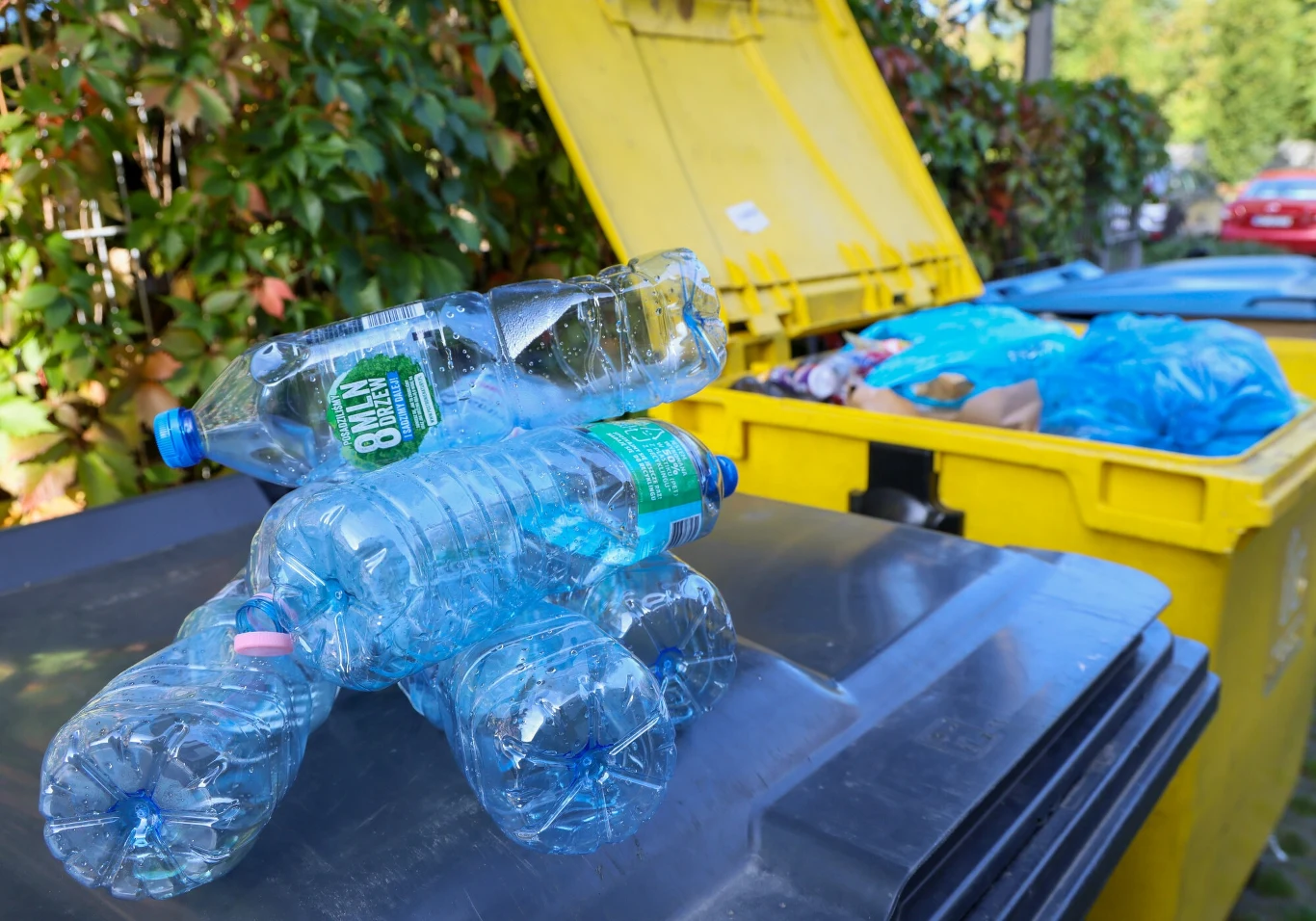 Co się dzieję, gdy nie oddam butelki w systemie kaucyjnym? Minister obala dezinformację Kilka plastikowych butelek po napojach ułożonych na pokrywie czarnego pojemnika na odpady, w tle żółte kontenery na segregowane śmieci oraz liściasty płot.