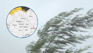 Do Polski wróci niebezpieczne zjawisko. Nie chodzi o przymrozki